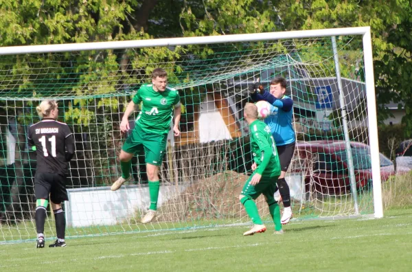 20.04.2024 FC Chemie Triptis vs. SV Moßbach