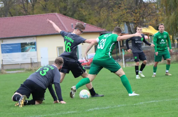 31.10.2024 FC Chemie Triptis vs. SV Grün-Weiß Tanna