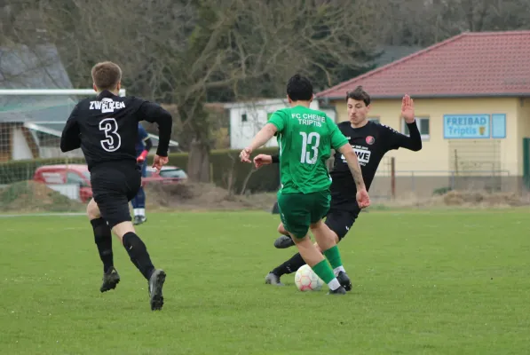 29.03.2025 FC Chemie Triptis vs. SV Jena-Zwätzen II